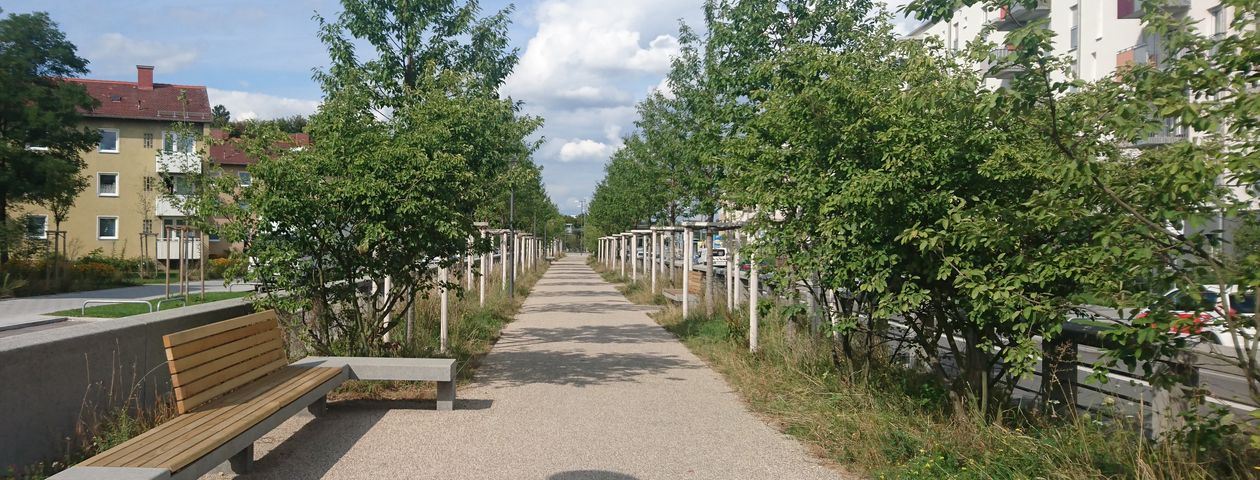 Fußweg zwischen zwei Straßen mit Sitzbank und Bäumen links und rechts