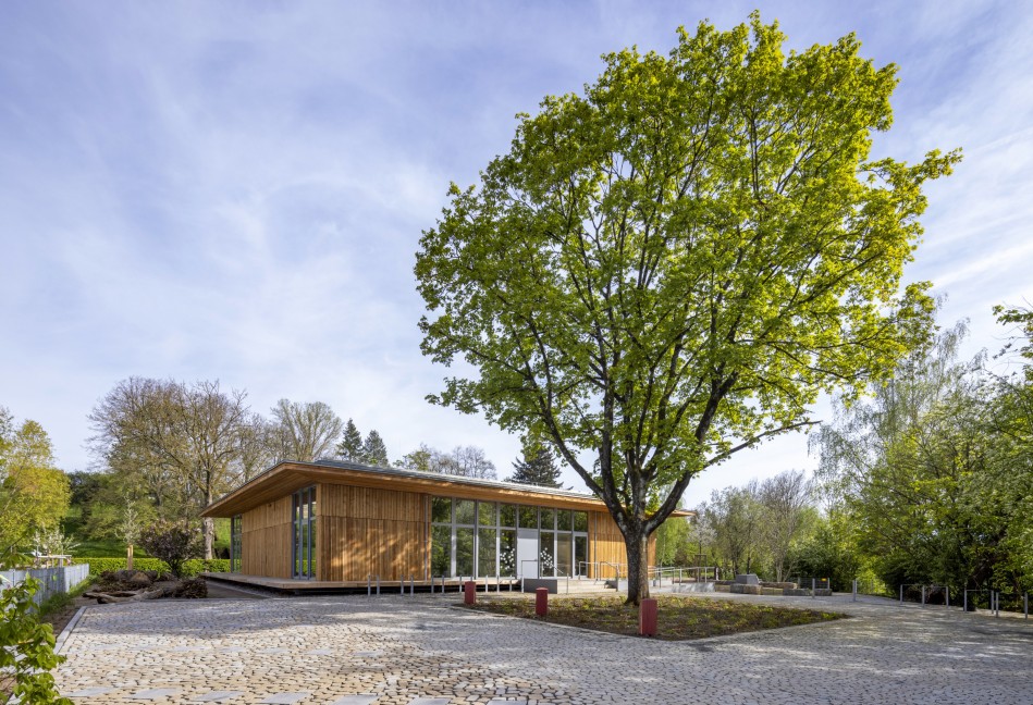 
								Gemeindehof unter großem Spitzahorn
									;
										Foto:
										Gerhard Hagen
							